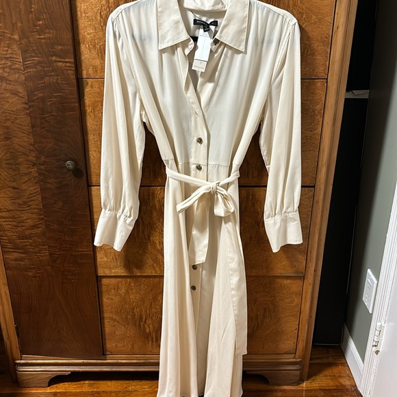 Banana Republic Petite Belted Long Sleeve Shirt Dress TENCEL - Picture 5 of 6